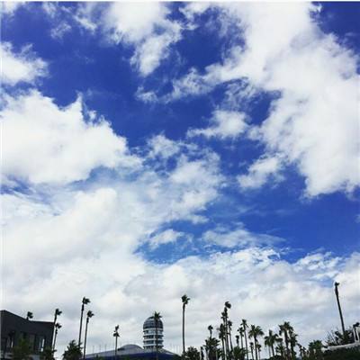 BET体育365投注官网手机app下载